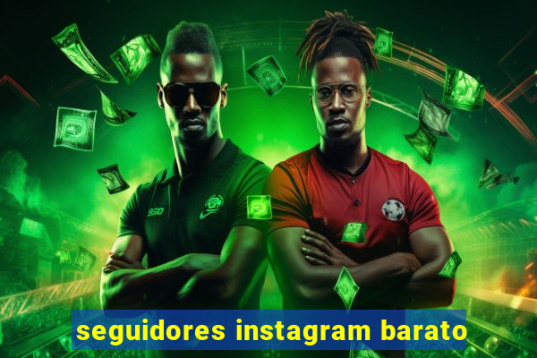 seguidores instagram barato